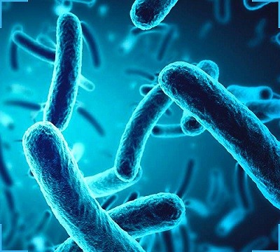 Rifampicin Resistant MTB Detection