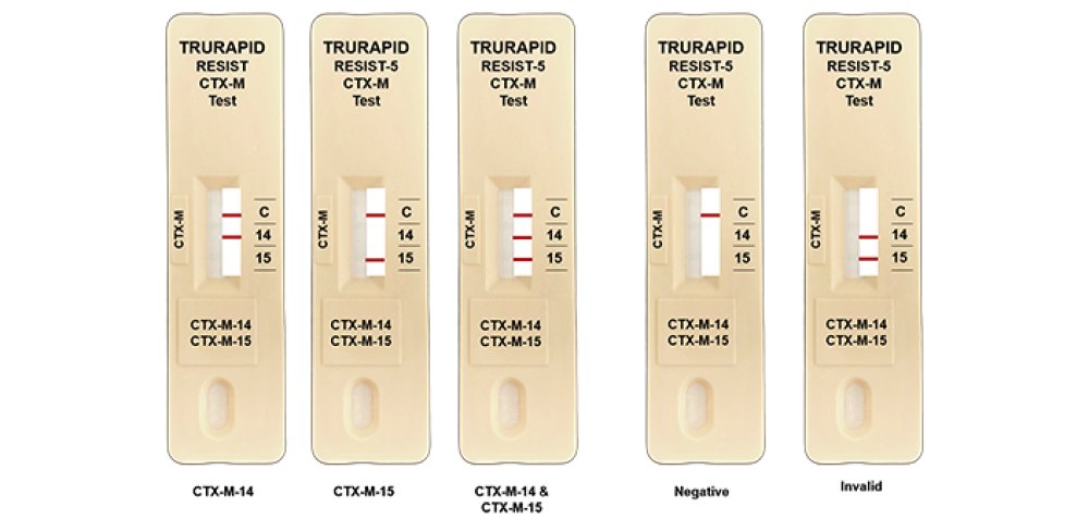 RESIST CTX-M Rapid Test