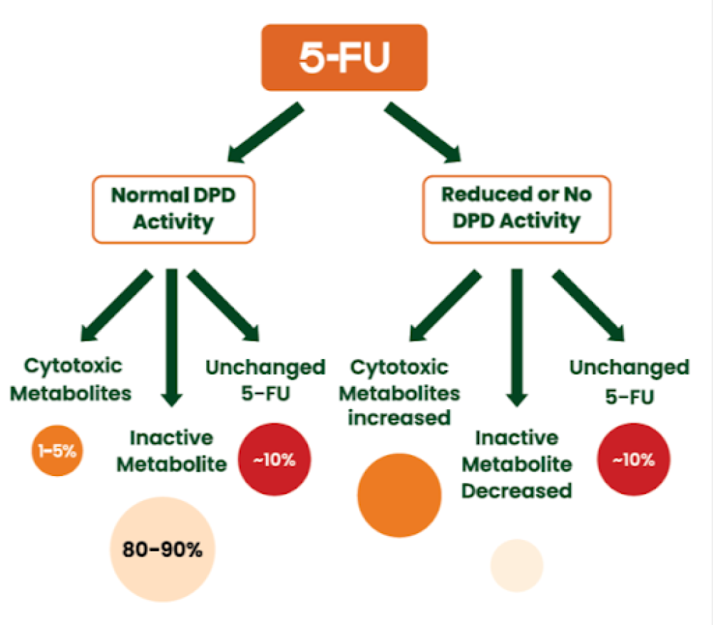 DPYD Mutations PCR Kit | DPYD Mutations Detection Kit 