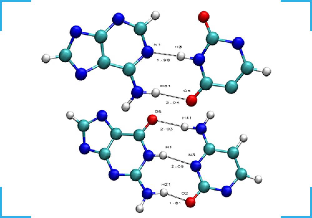 Total Viral Nucleic Acid Extraction