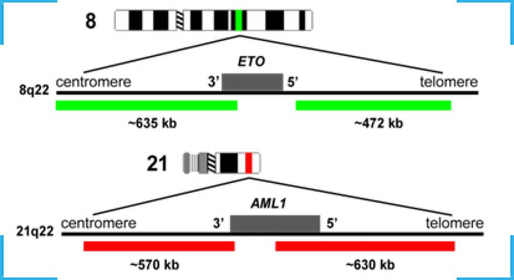 MGMT Methylation PCR | MGMT Methylation Detection Kit