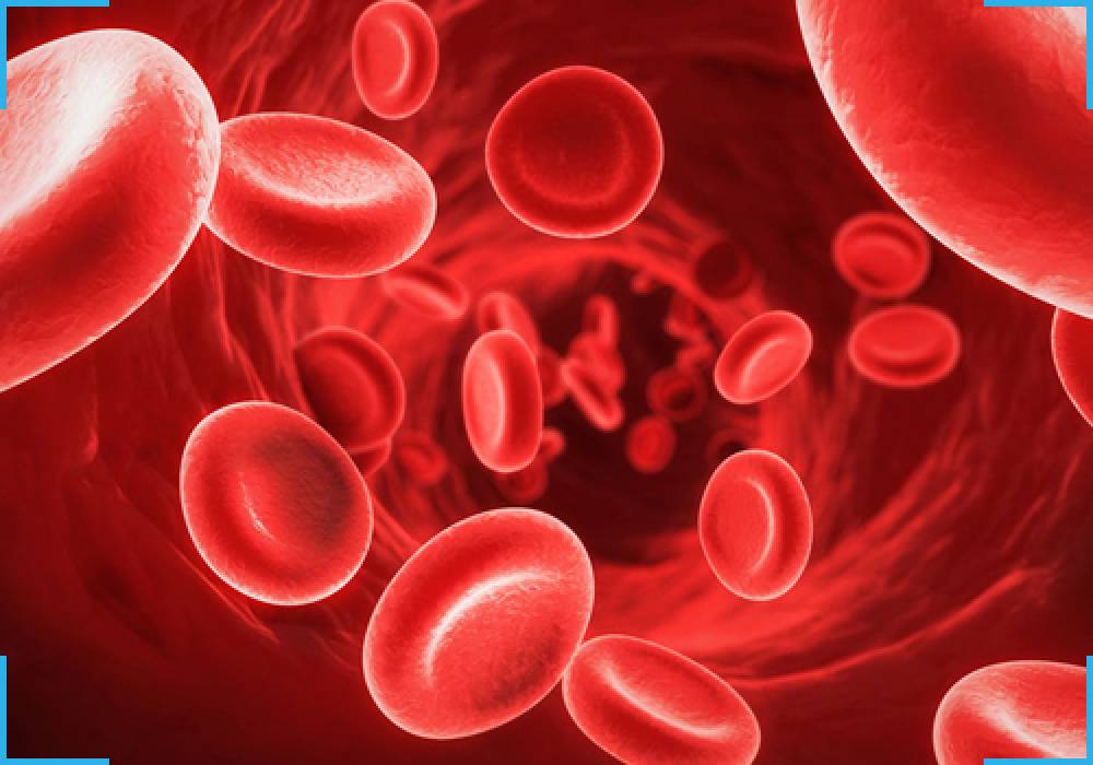 Blood RNA Extraction