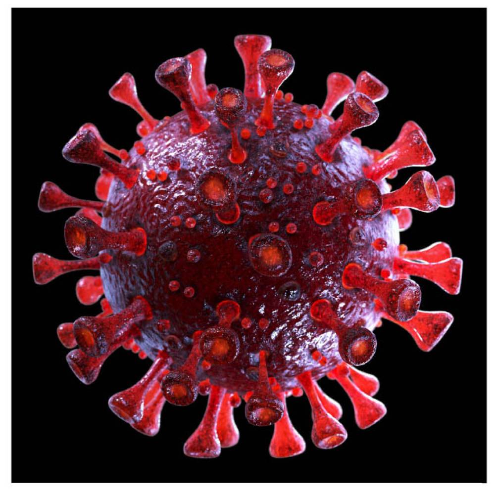 SARS-CoV-2 Detection
