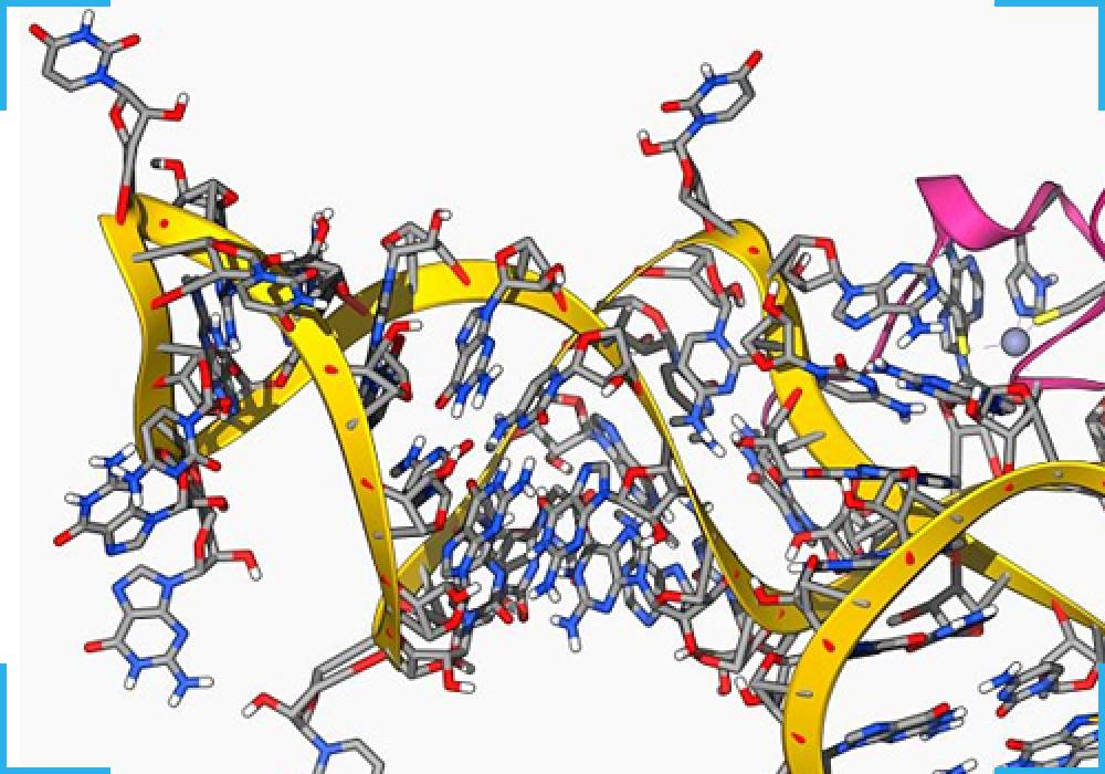 Viral RNA Extraction