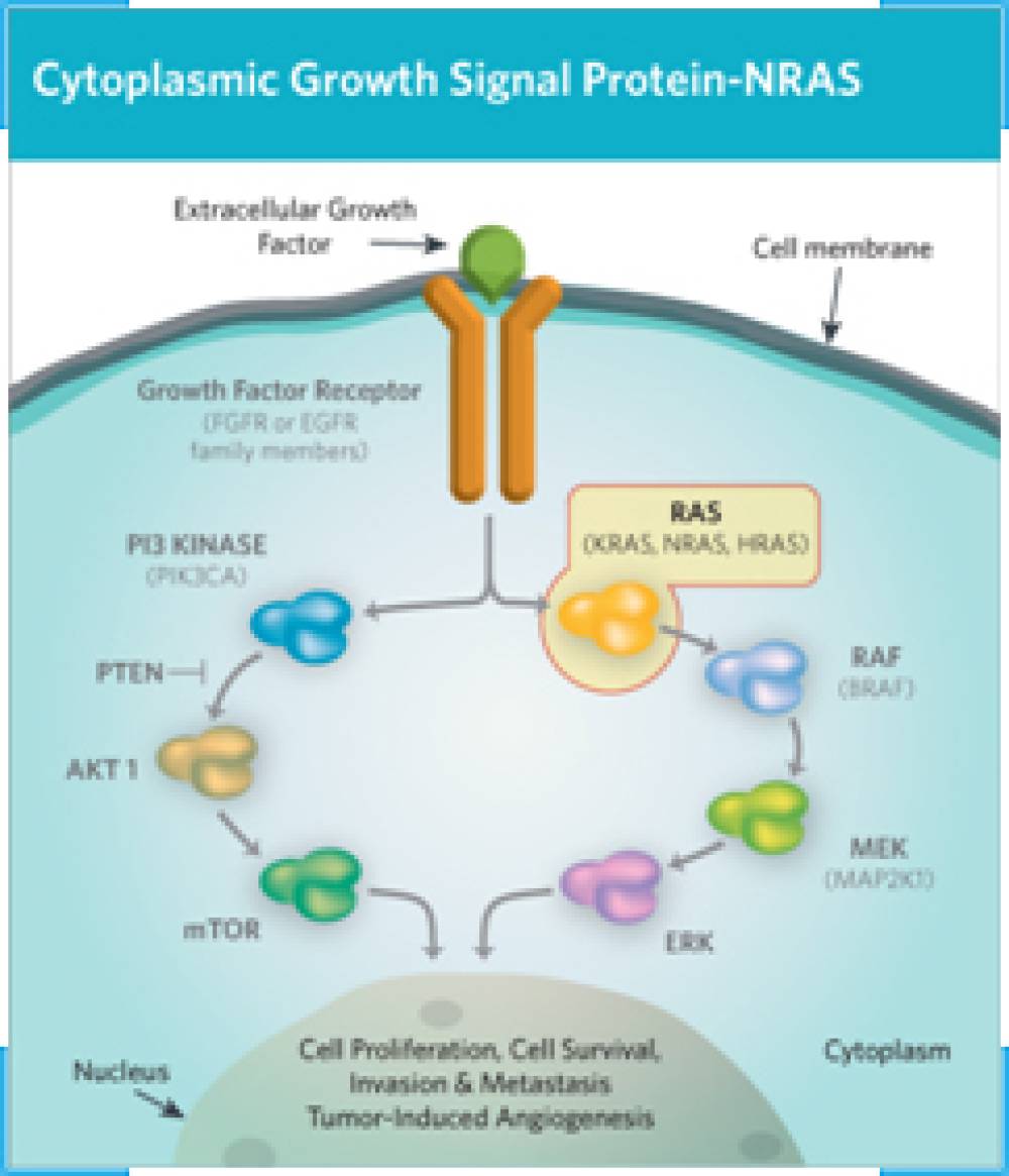 NRAS Mutations Detection