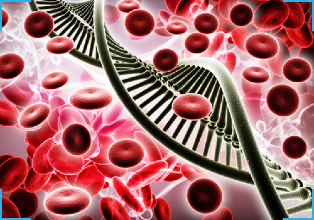 Blood DNA Extraction