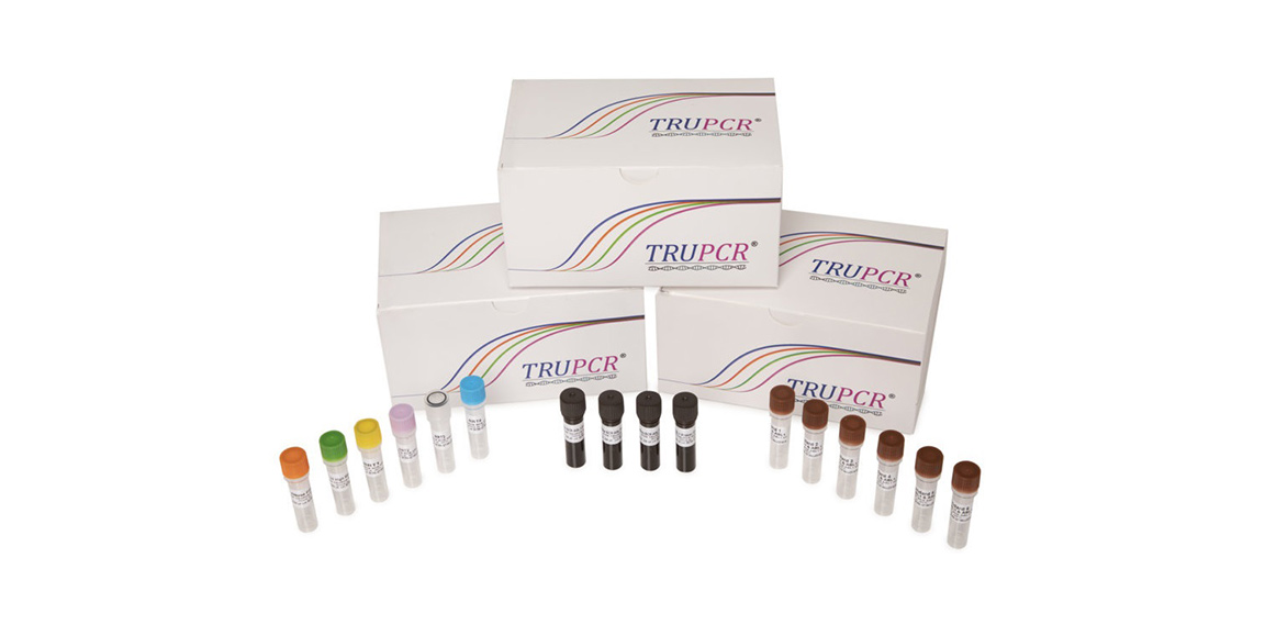 PCR Based Molecular Diagnostic Kits.